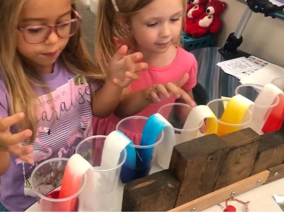 Walking Water Experiment